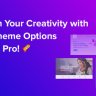 Astra Pro Addon Nulled – Astra WordPress Theme