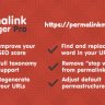 Permalink Manager Pro Nulled – WordPress Plugin